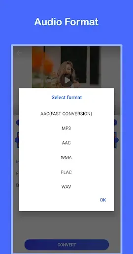 Скриншот 2 — Конвертер видео в MP3