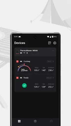 Скриншот 2 — ThermoMaven