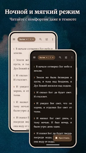 Скриншот 7 — Библия KJV - Синодальный