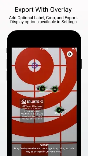 Скриншот 8 — Ballistic X