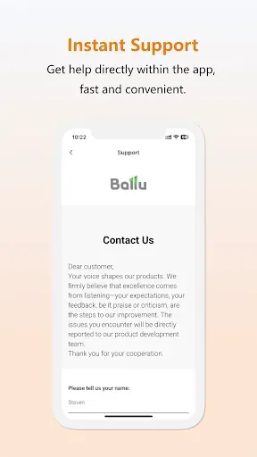 Скриншот 2 — Ballu