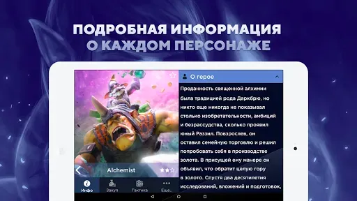 Скриншот 8 — Помощник дотера