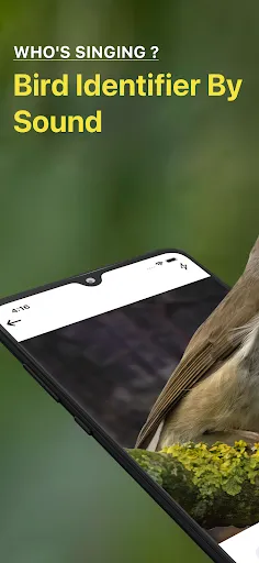 Скриншот 1 — Bird Sound Identifier Bird ID