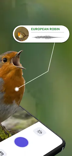 Скриншот 2 — Bird Sound Identifier Bird ID