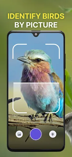 Скриншот 3 — Bird Sound Identifier Bird ID