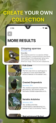 Скриншот 5 — Bird Sound Identifier Bird ID