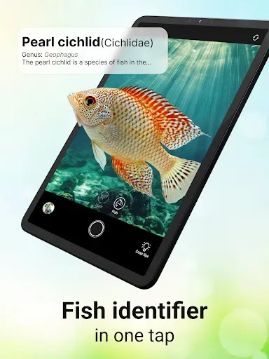 Скриншот 8 — AI Plant & Fish Identifier App