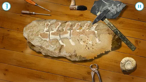 Скриншот 5 — Andy's Great Fossil Hunt
