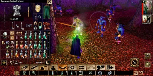 Скриншот 2 — Neverwinter Nights: Enhanced