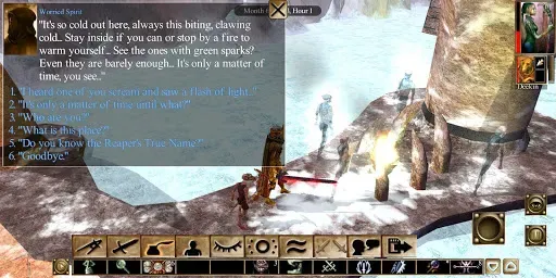 Скриншот 4 — Neverwinter Nights: Enhanced