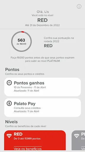 Скриншот 4 — Palato Supermercado