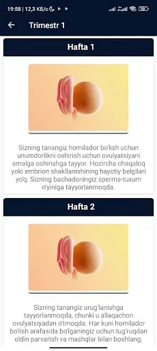 Скриншот 7 — Homiladorlik kuzatuvchi