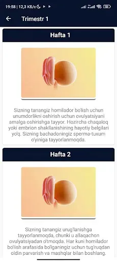 Скриншот 8 — Homiladorlik kuzatuvchi