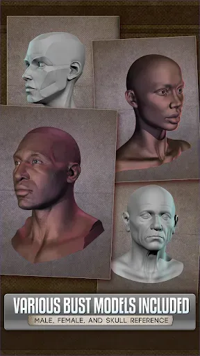 Скриншот 5 — Handy Art Reference Tool