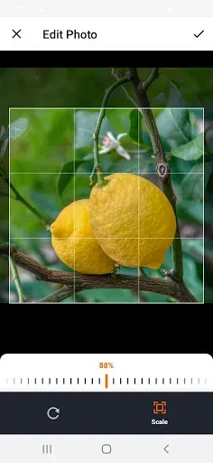 Скриншот 7 — Veggie Garden Planner