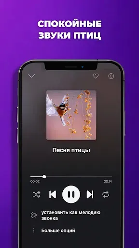 Скриншот 7 — Рингтоны на телефон