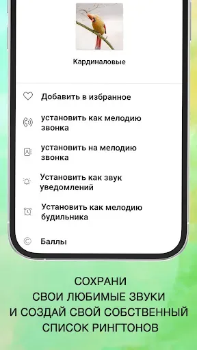 Скриншот 4 — Пение Птиц Рингтоны
