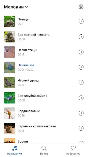 Скриншот 7 — Пение Птиц Рингтоны
