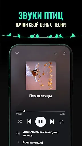Скриншот 5 — Рингтоны на Звонок для Андроид