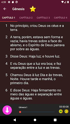 Скриншот 5 — bíblia para mulheres + áudio
