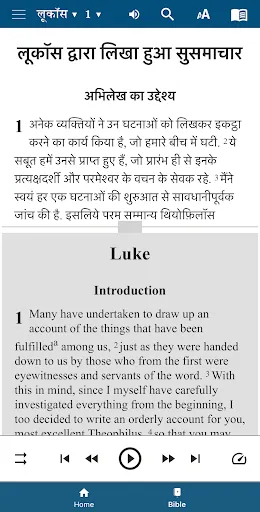 Скриншот 5 — हिंदी समकालीन संस्करण