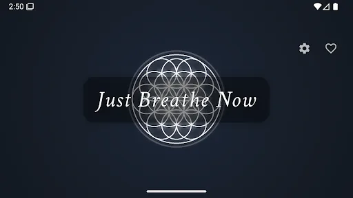 Скриншот 8 — Just Breathe Now