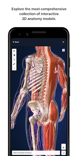 Скриншот 1 — BioDigital Human - 3D Anatomy