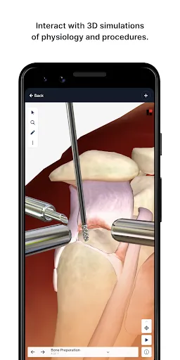 Скриншот 3 — BioDigital Human - 3D Anatomy