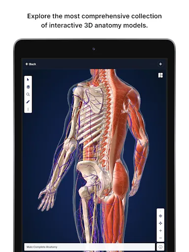 Скриншот 7 — BioDigital Human - 3D Anatomy