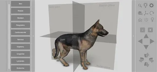 Скриншот 1 — 3D Dog Anatomy
