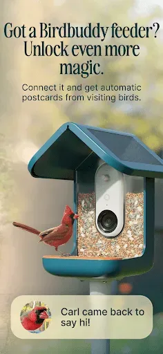 Скриншот 2 — Birdbuddy: ID & Collect Birds