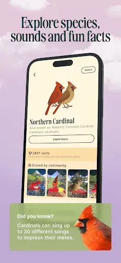 Скриншот 3 — Birdbuddy: ID & Collect Birds