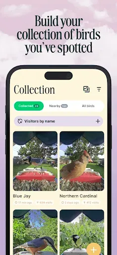 Скриншот 4 — Birdbuddy: ID & Collect Birds