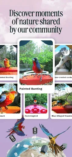 Скриншот 5 — Birdbuddy: ID & Collect Birds
