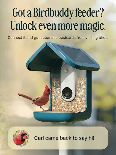 Скриншот 7 — Birdbuddy: ID & Collect Birds