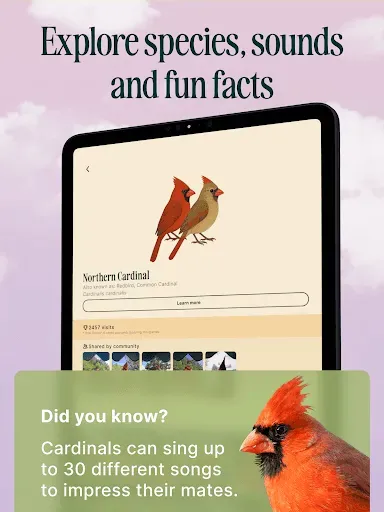 Скриншот 8 — Birdbuddy: ID & Collect Birds