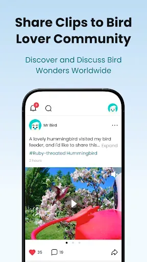 Скриншот 4 — Birdfy