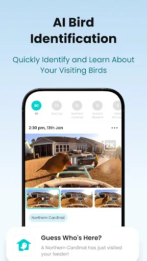Скриншот 6 — Birdfy