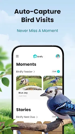 Скриншот 7 — Birdfy