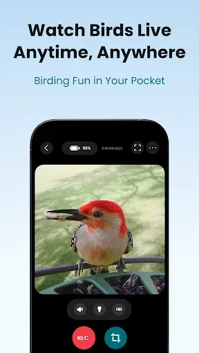 Скриншот 8 — Birdfy