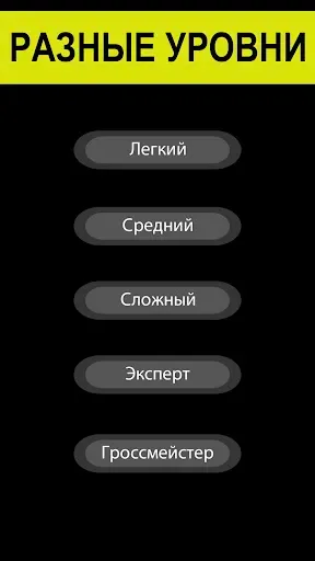 Скриншот 5 — Шахматы без интернета на двоих