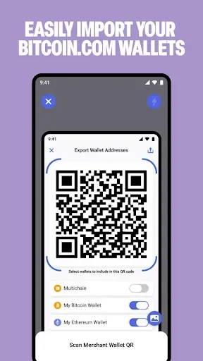 Скриншот 4 — Bitcoin.com Checkout