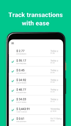 Скриншот 6 — Bitcoin Cash Register (BCH)