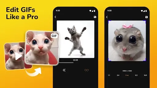 Скриншот 2 — Создатель GIF: редактор GIF