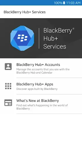 Скриншот 1 — Службы BlackBerry Hub+