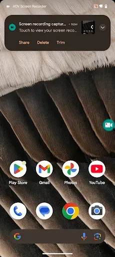 Скриншот 4 — ADV Screen Recorder