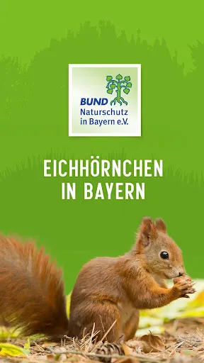 Скриншот 1 — Eichhörnchen in Bayern
