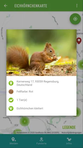 Скриншот 4 — Eichhörnchen in Bayern