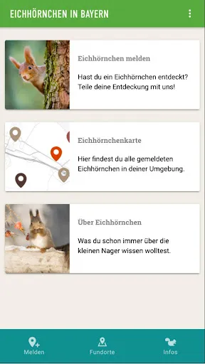 Скриншот 5 — Eichhörnchen in Bayern
