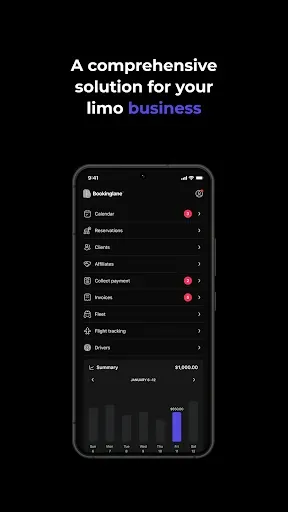 Скриншот 2 — Bookinglane Manager